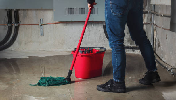 Best Flooded house restoration  in Barbourmeade, KY