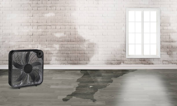  Barbourmeade, KY Water damage restoration Pros
