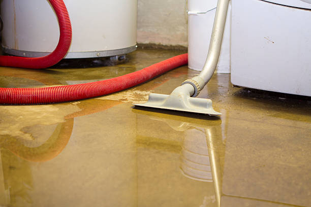 Best Local water damage restoration  in Barbourmeade, KY