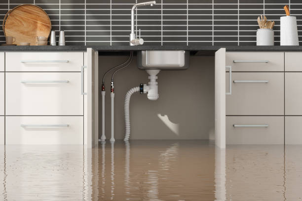 Best Carpet water damage restoration  in Barbourmeade, KY