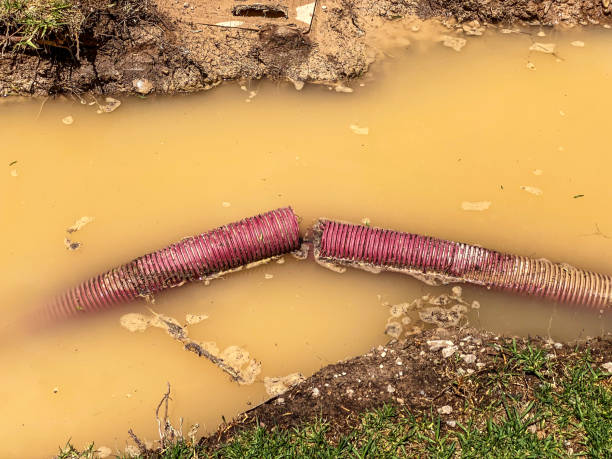 Best Commercial water damage restoration  in Barbourmeade, KY